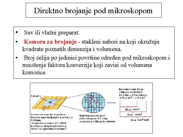 Direktno brojanje pod mikroskopom • Suv ili vlažni preparat. • Komora za brojanje -