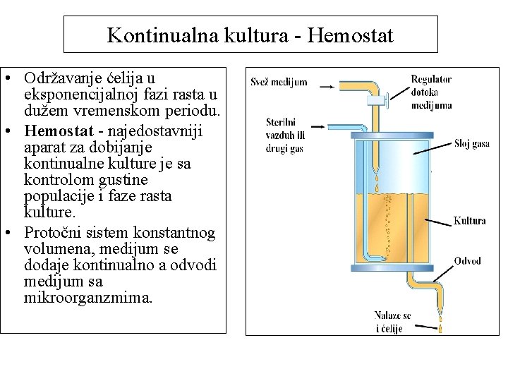 Kontinualna kultura - Hemostat • Održavanje ćelija u eksponencijalnoj fazi rasta u dužem vremenskom