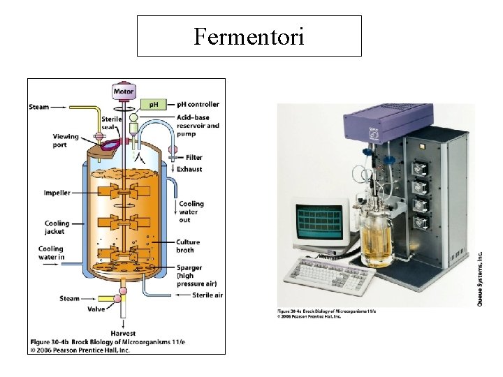 Fermentori 