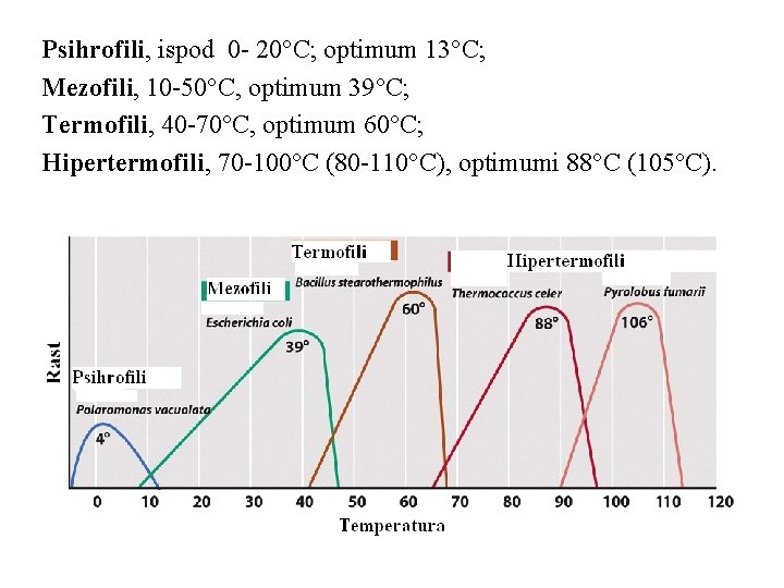 Psihrofili, ispod 0 - 20 C; optimum 13 C; Mezofili, 10 -50 C, optimum