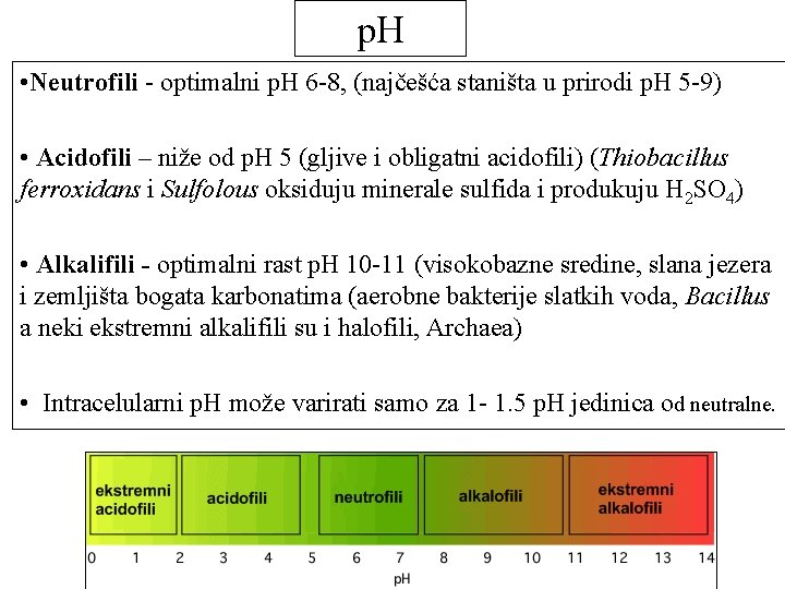 p. H • Neutrofili - optimalni p. H 6 -8, (najčešća staništa u prirodi