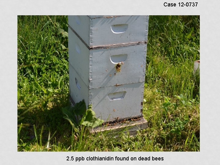 Case 12 -0737 2. 5 ppb clothianidin found on dead bees 