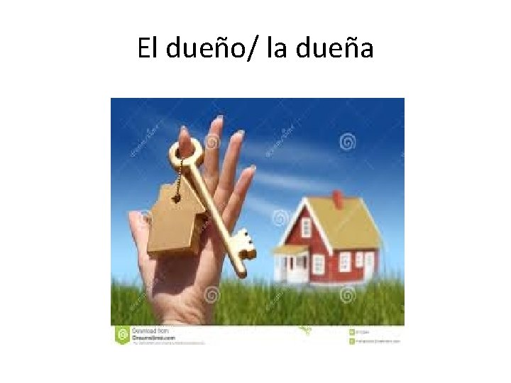 El dueño/ la dueña 