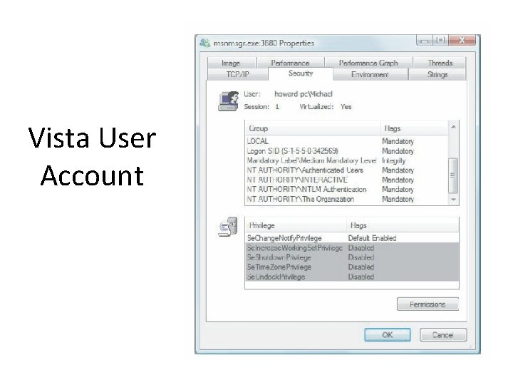 Vista User Account 