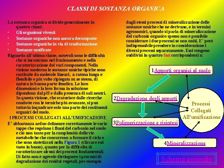 CLASSI DI SOSTANZA ORGANICA La sostanza organica si divide generalmente in quattro classi: • CLASSI DI SOSTANZA ORGANICA La sostanza organica si divide generalmente in quattro classi: •