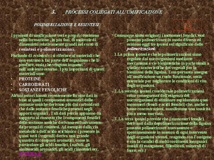 3. PROCESSI COLl. EGATI ALL’UMIFICAZIONE POLIMERIZAZIONE E RESINTESI I processi di umificazione veri e 3. PROCESSI COLl. EGATI ALL’UMIFICAZIONE POLIMERIZAZIONE E RESINTESI I processi di umificazione veri e