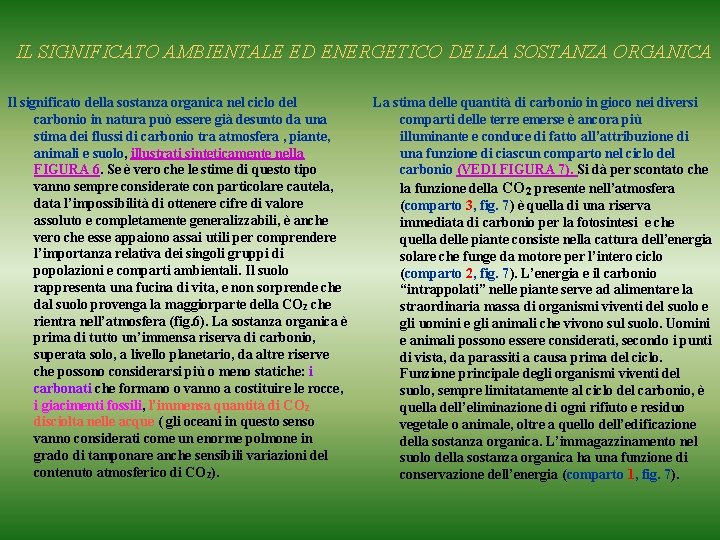 IL SIGNIFICATO AMBIENTALE ED ENERGETICO DELLA SOSTANZA ORGANICA Il significato della sostanza organica nel IL SIGNIFICATO AMBIENTALE ED ENERGETICO DELLA SOSTANZA ORGANICA Il significato della sostanza organica nel