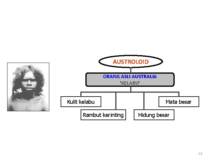 AUSTROLOID ORANG ASLI AUSTRALIA ‘KELABU’ Kulit kelabu Rambut kerinting Mata besar Hidung besar 12