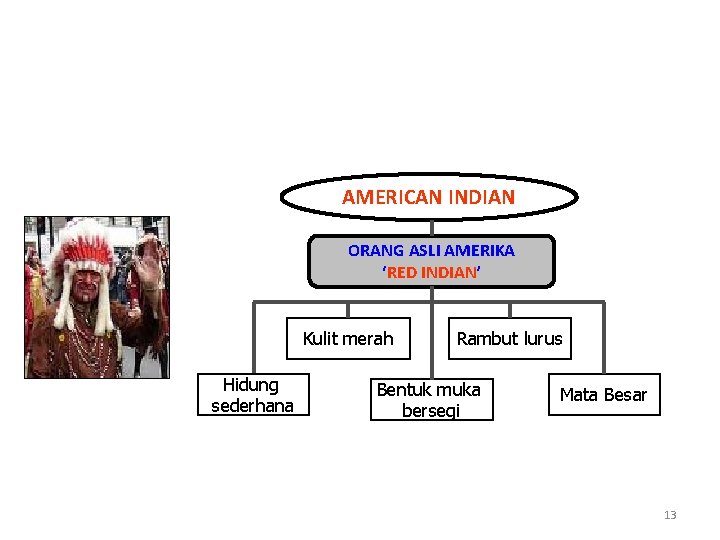 AMERICAN INDIAN ORANG ASLI AMERIKA ‘RED INDIAN’ Kulit merah Hidung sederhana Rambut lurus Bentuk
