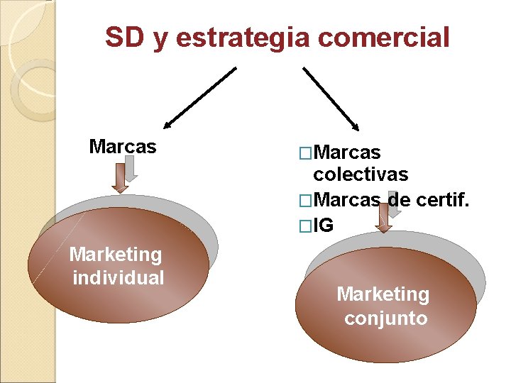 SD y estrategia comercial Marcas �Marcas colectivas �Marcas de certif. �IG Marketing individual Marketing