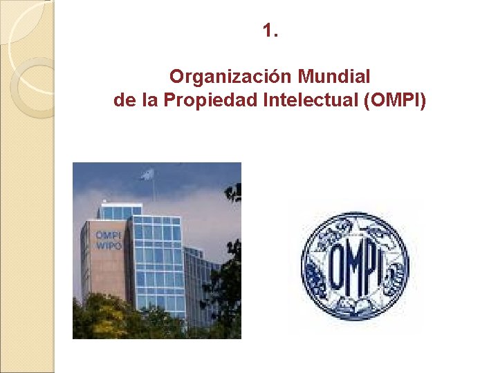 1. Organización Mundial de la Propiedad Intelectual (OMPI) 