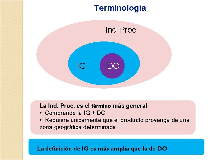 Terminología Ind Proc IG IG DO La Ind. Proc. es el término más general