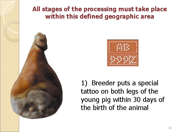 All stages of the processing must take place within this defined geographic area 1)
