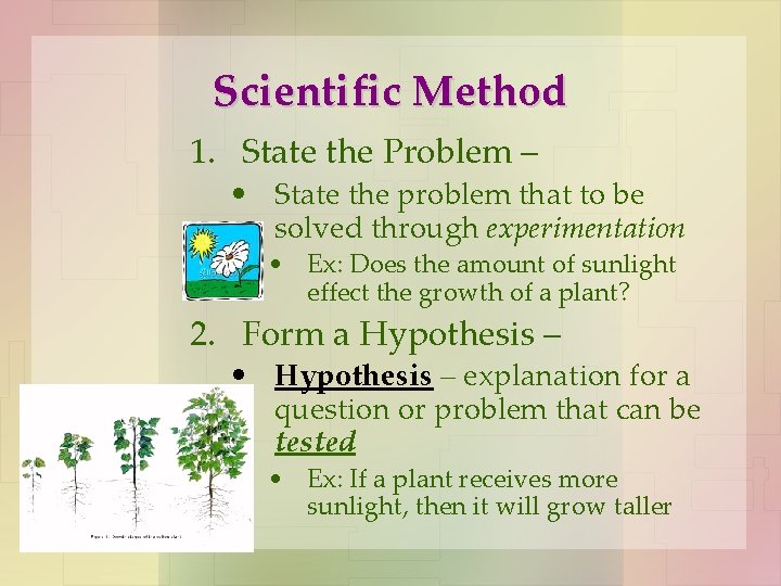 Scientific Method 1. State the Problem – • State the problem that to be