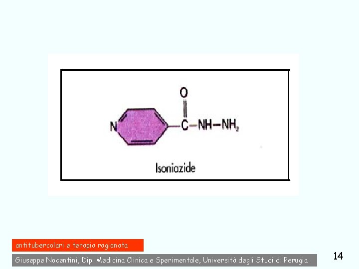 antitubercolari e terapia ragionata Giuseppe Nocentini, Dip. Medicina Clinica e Sperimentale, Università degli Studi