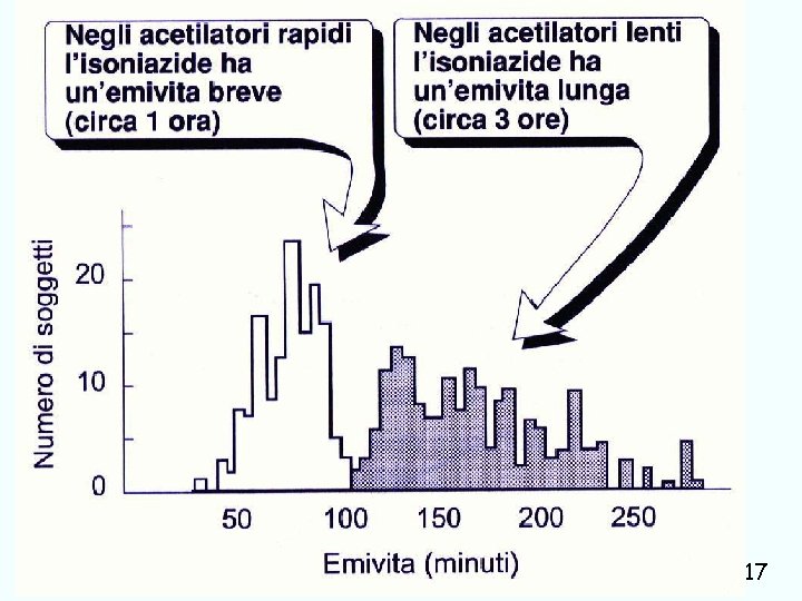 antitubercolari e terapia ragionata Giuseppe Nocentini, Dip. Medicina Clinica e Sperimentale, Università degli Studi