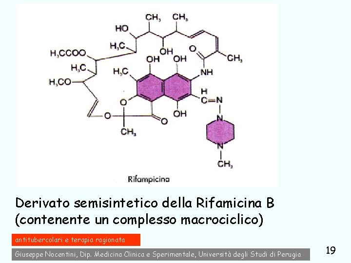 Derivato semisintetico della Rifamicina B (contenente un complesso macrociclico) antitubercolari e terapia ragionata Giuseppe