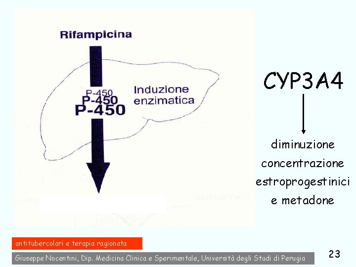 CYP 3 A 4 diminuzione concentrazione estroprogestinici e metadone antitubercolari e terapia ragionata Giuseppe