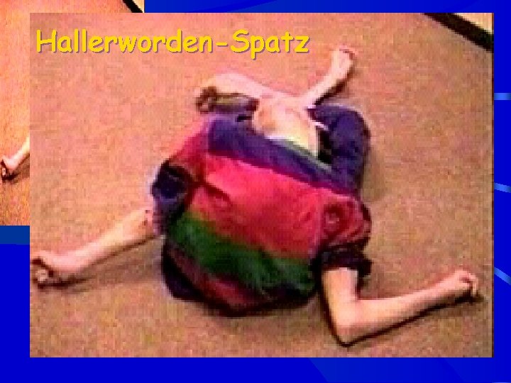 Hallerworden-Spatz 