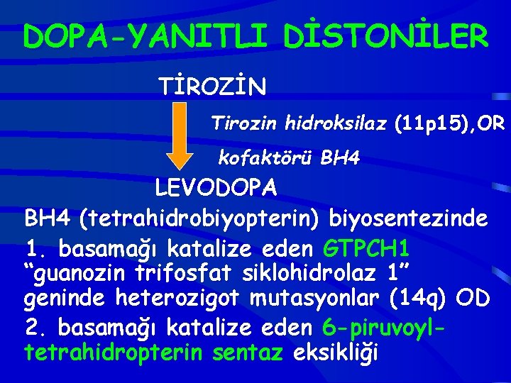 DOPA-YANITLI DİSTONİLER TİROZİN Tirozin hidroksilaz (11 p 15), OR kofaktörü BH 4 LEVODOPA BH