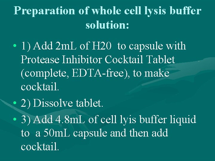 Preparation of whole cell lysis buffer solution: • 1) Add 2 m. L of