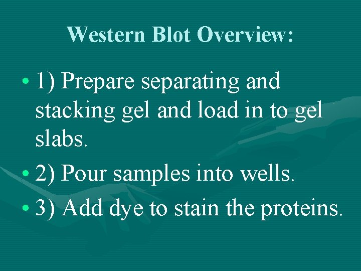 Western Blot Overview: • 1) Prepare separating and stacking gel and load in to