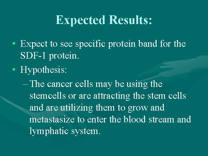 Expected Results: • Expect to see specific protein band for the SDF-1 protein. •