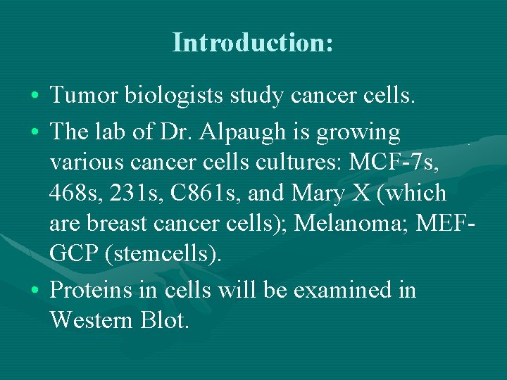 Introduction: • Tumor biologists study cancer cells. • The lab of Dr. Alpaugh is