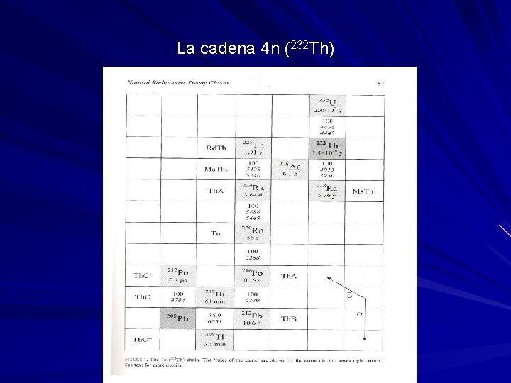 La cadena 4 n (232 Th) 