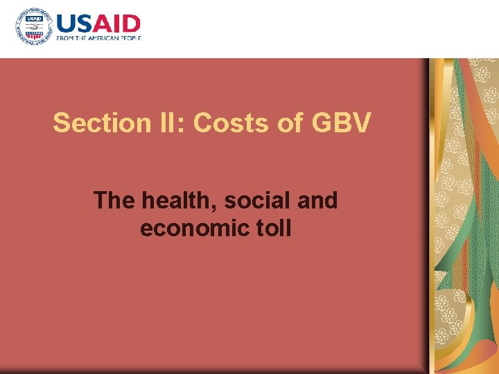 Section II: Costs of GBV The health, social and economic toll 