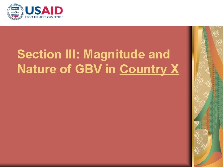 Section III: Magnitude and Nature of GBV in Country X 