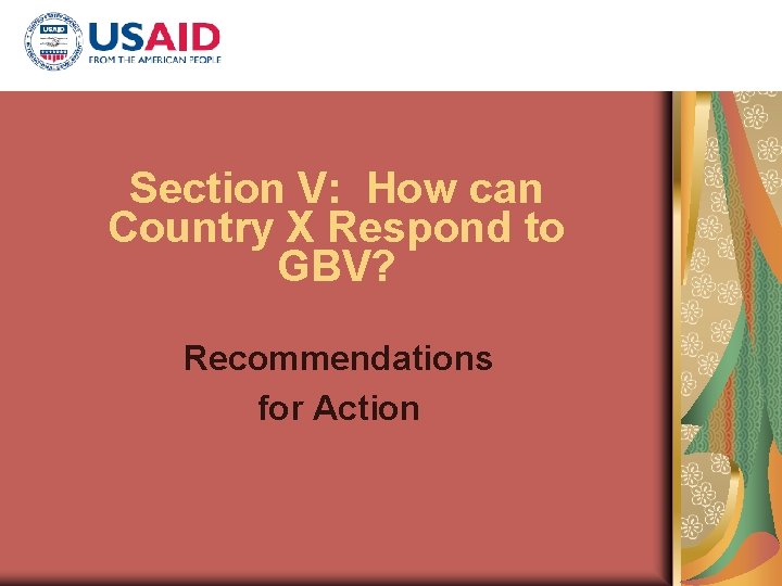 Section V: How can Country X Respond to GBV? Recommendations for Action 