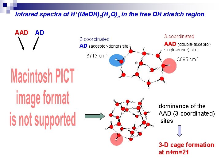 Infrared spectra of H+(Me. OH)2(H 2 O)n in the free OH stretch region AAD