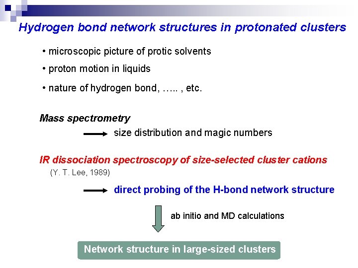 Hydrogen bond network structures in protonated clusters • microscopic picture of protic solvents •