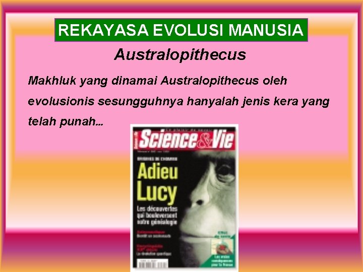 REKAYASA EVOLUSI MANUSIA Australopithecus Makhluk yang dinamai Australopithecus oleh evolusionis sesungguhnya hanyalah jenis kera