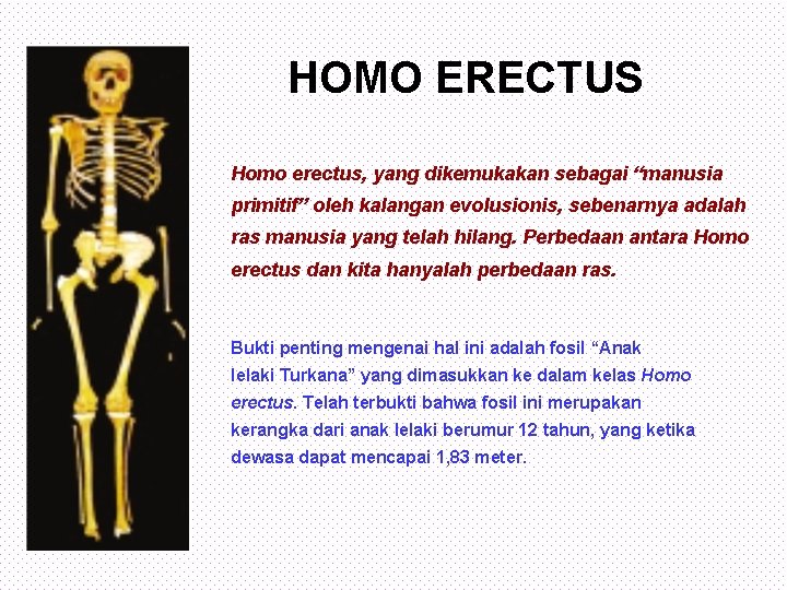 HOMO ERECTUS Homo erectus, yang dikemukakan sebagai “manusia primitif” oleh kalangan evolusionis, sebenarnya adalah