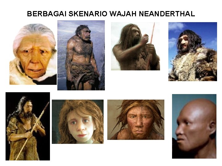 BERBAGAI SKENARIO WAJAH NEANDERTHAL 