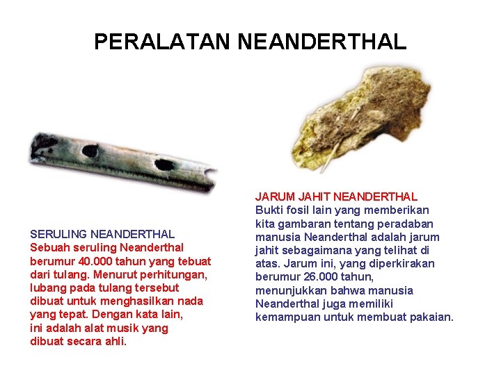 PERALATAN NEANDERTHAL SERULING NEANDERTHAL Sebuah seruling Neanderthal berumur 40. 000 tahun yang tebuat dari