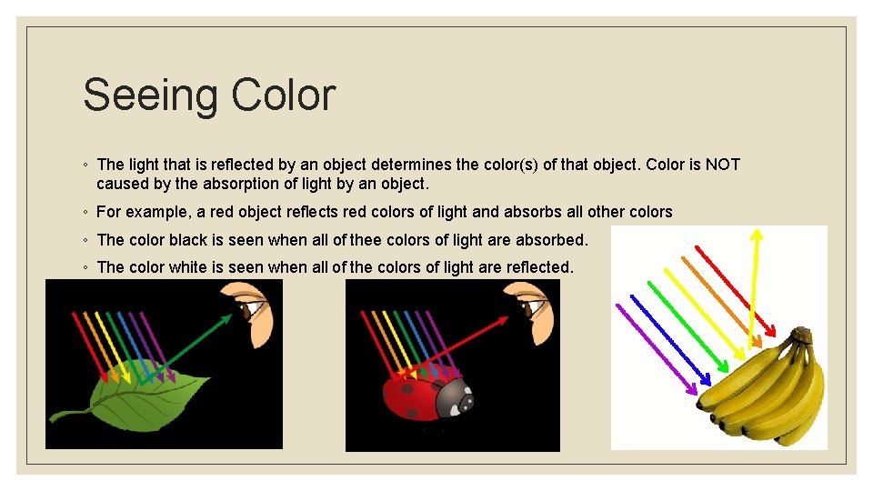 Seeing Color ◦ The light that is reflected by an object determines the color(s)