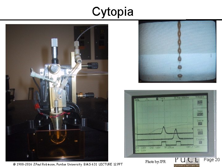 Cytopia © 1988 -2016 J. Paul Robinson, Purdue University BMS 631 LECTURE 12. PPT