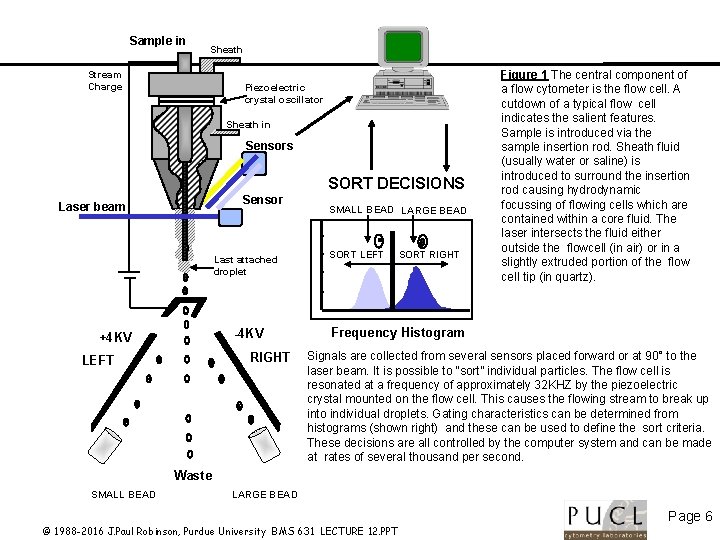 Sample in Sheath Stream Charge Piezoelectric crystal oscillator Sheath in Sensors SORT DECISIONS Sensor