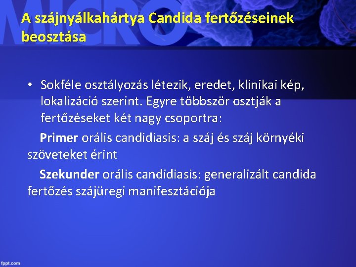 A szájnyálkahártya Candida fertőzéseinek beosztása • Sokféle osztályozás létezik, eredet, klinikai kép, lokalizáció szerint.