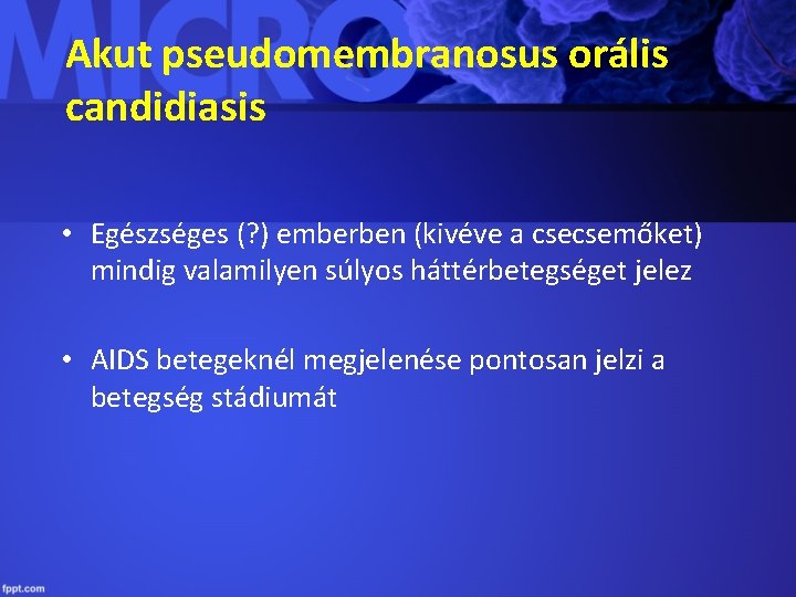 Akut pseudomembranosus orális candidiasis • Egészséges (? ) emberben (kivéve a csecsemőket) mindig valamilyen