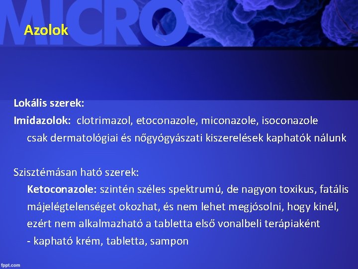 Azolok Lokális szerek: Imidazolok: clotrimazol, etoconazole, miconazole, isoconazole csak dermatológiai és nőgyógyászati kiszerelések kaphatók