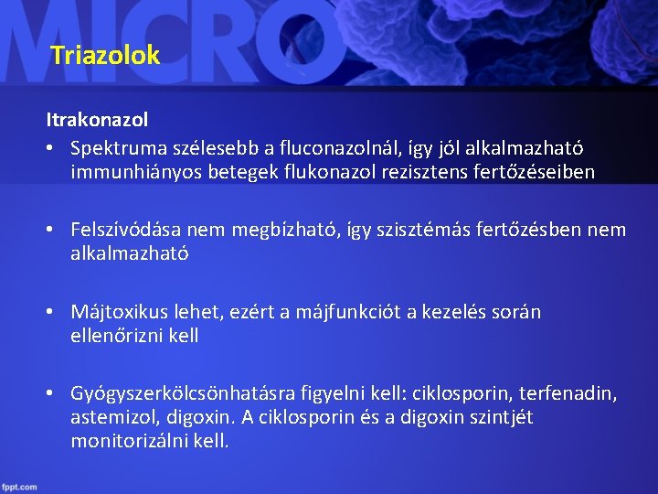 Triazolok Itrakonazol • Spektruma szélesebb a fluconazolnál, így jól alkalmazható immunhiányos betegek flukonazol rezisztens