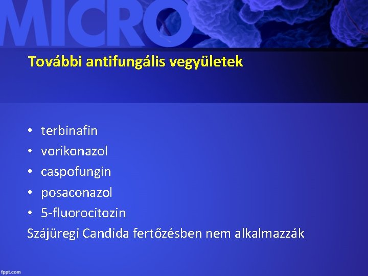További antifungális vegyületek • terbinafin • vorikonazol • caspofungin • posaconazol • 5 -fluorocitozin