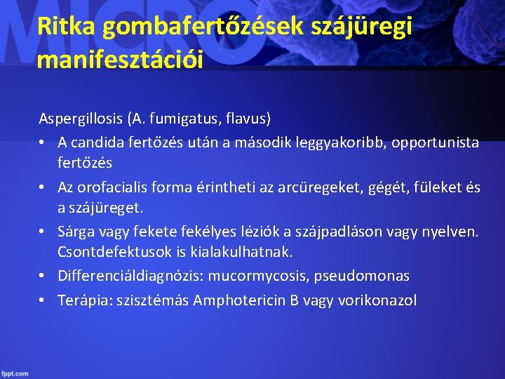 Ritka gombafertőzések szájüregi manifesztációi Aspergillosis (A. fumigatus, flavus) • A candida fertőzés után a