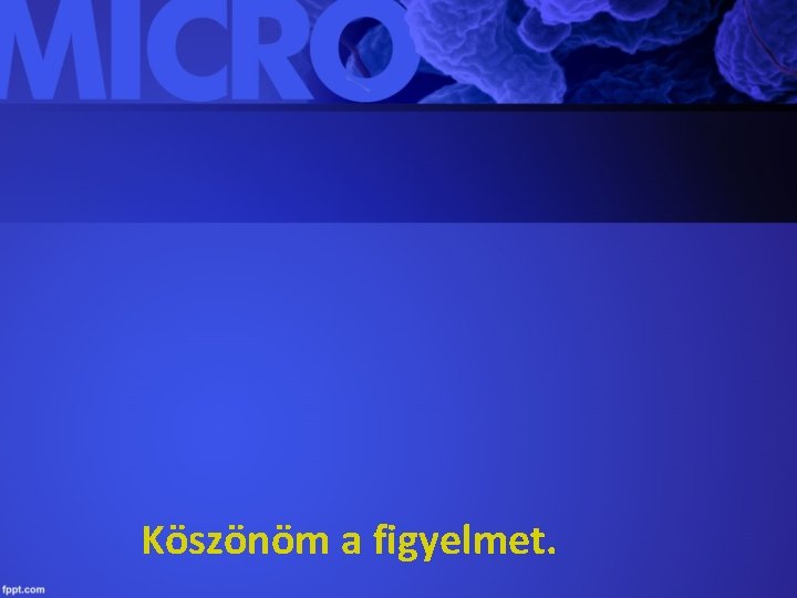 Köszönöm a figyelmet. 