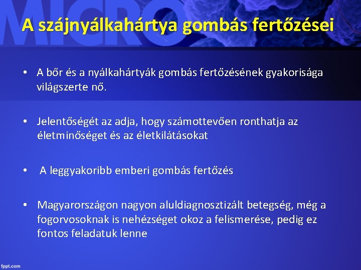 A szájnyálkahártya gombás fertőzései • A bőr és a nyálkahártyák gombás fertőzésének gyakorisága világszerte