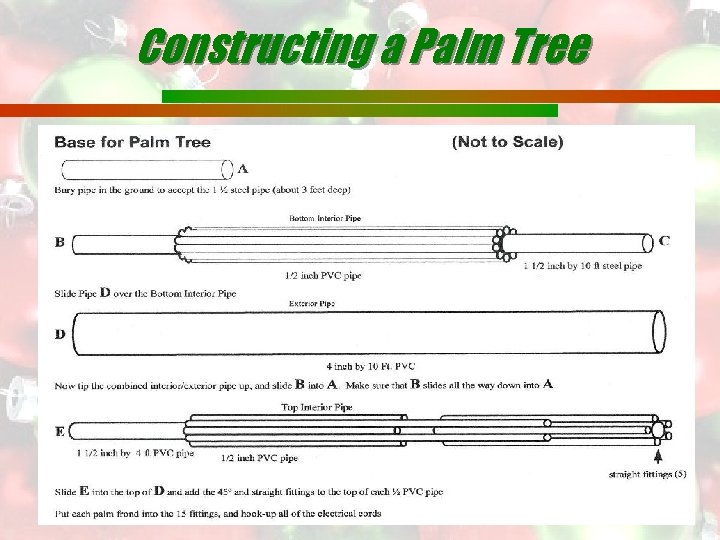 Constructing a Palm Tree 